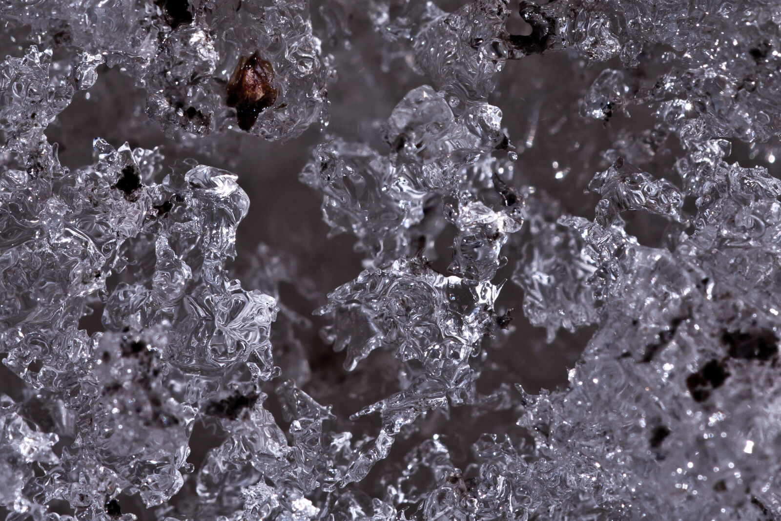 Canon EF 180mm F3.5L Macro USM sample photo. Ice, macro, melt, melted photography