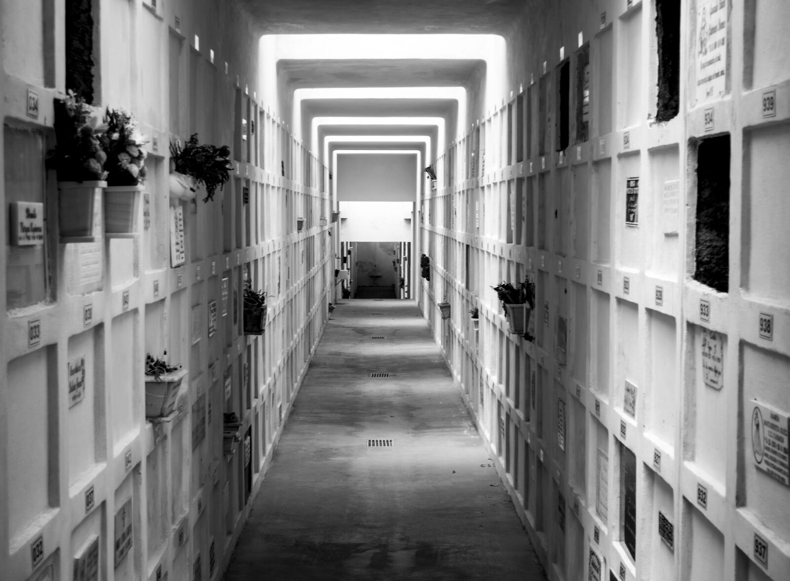 Nikon D5200 sample photo. Cemetery, peace, rest photography