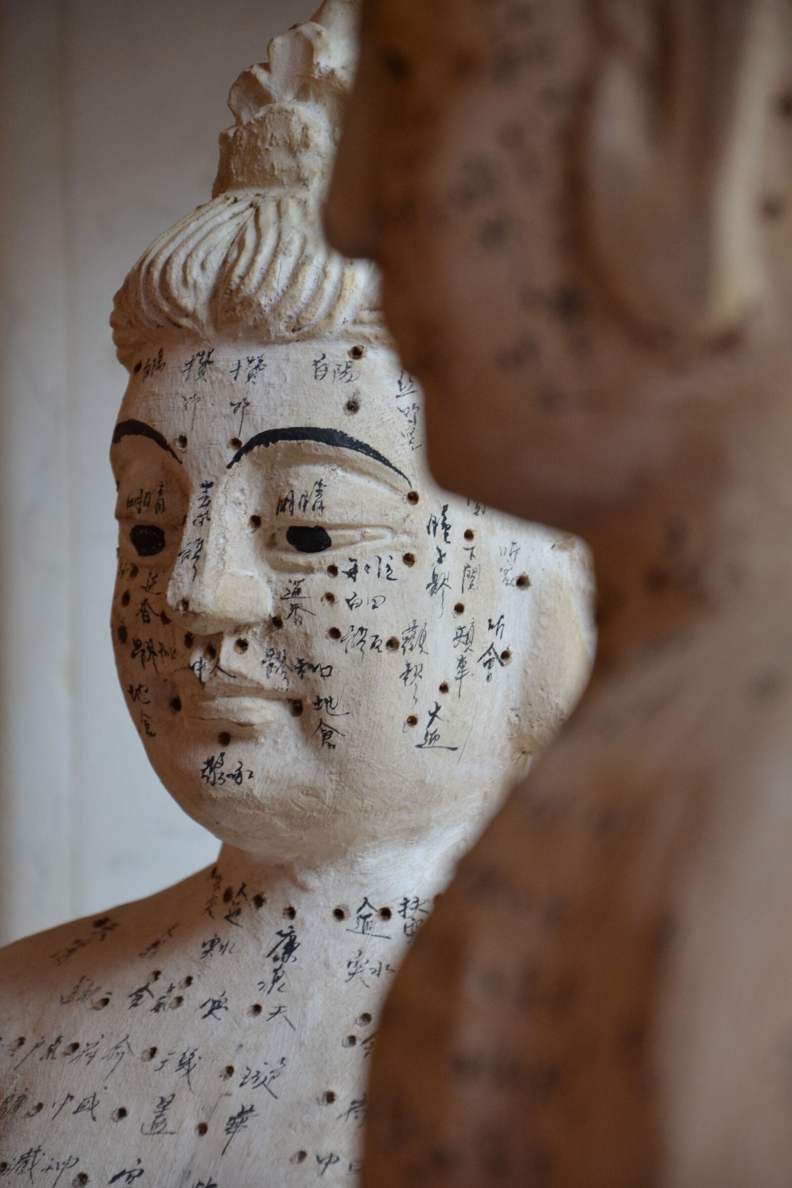 Nikon D3100 sample photo. Acupuncture, tcm, therapy photography