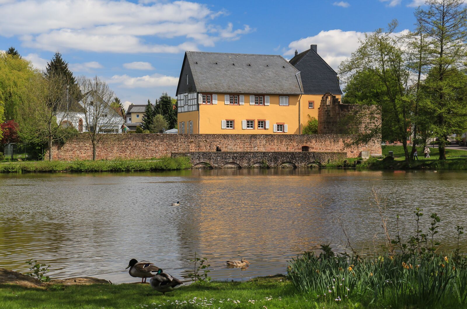 Canon EOS 700D (EOS Rebel T5i / EOS Kiss X7i) sample photo. Castle, pond, romantic photography