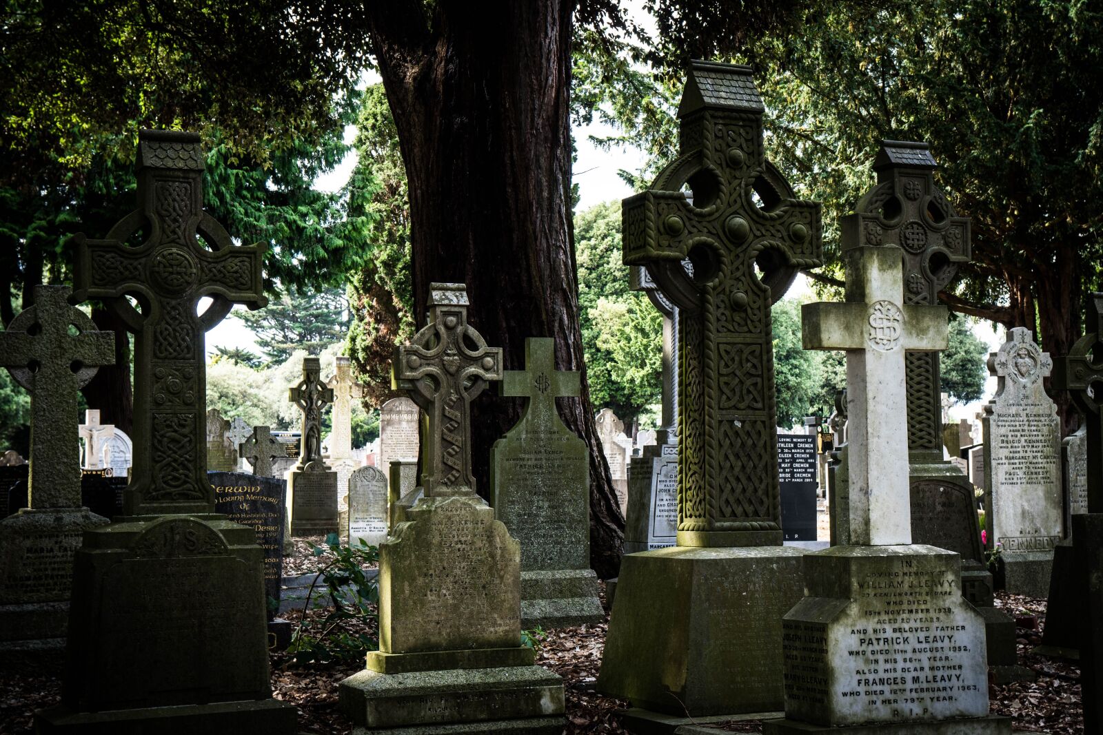 Sony a6500 + Sony Vario-Tessar T* E 16-70mm F4 ZA OSS sample photo. Glasnevin, dublin, ireland photography