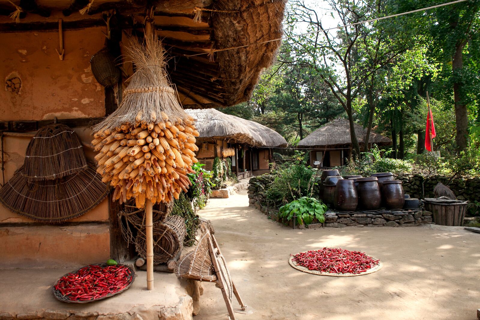 Canon EOS 5D Mark II sample photo. Thatch roofed hose, traditional photography