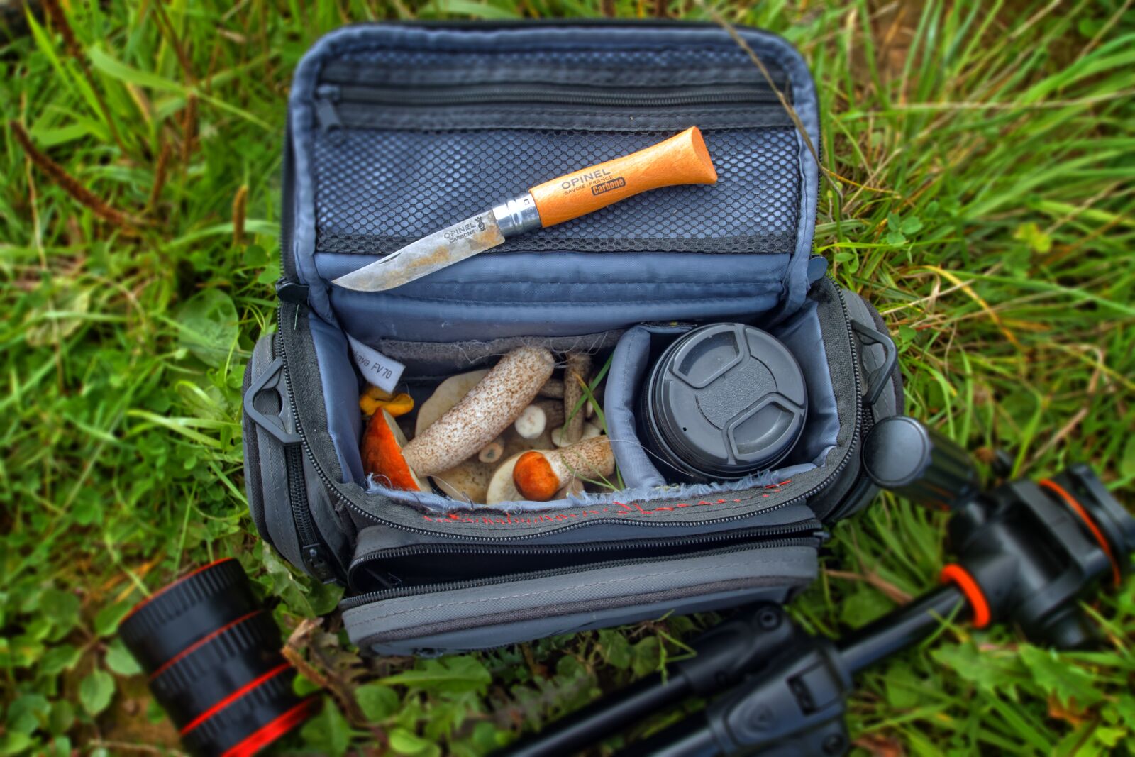 Canon EOS 500D (EOS Rebel T1i / EOS Kiss X3) sample photo. Stroll, knife, mushrooms photography