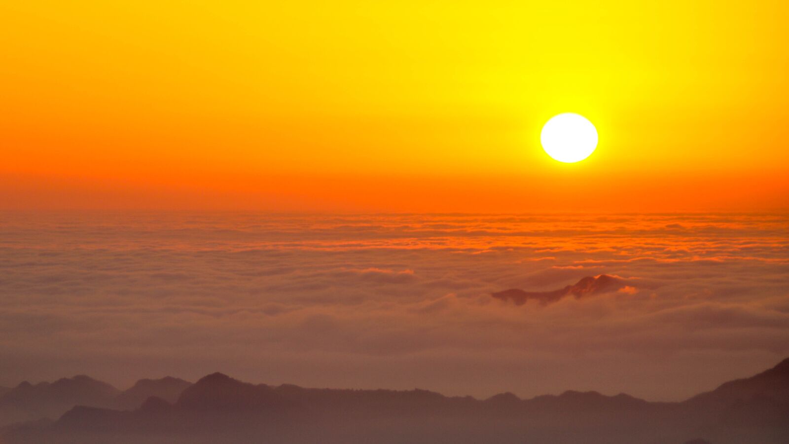 Canon EOS 760D (EOS Rebel T6s / EOS 8000D) sample photo. Cloud sea out, wudang photography