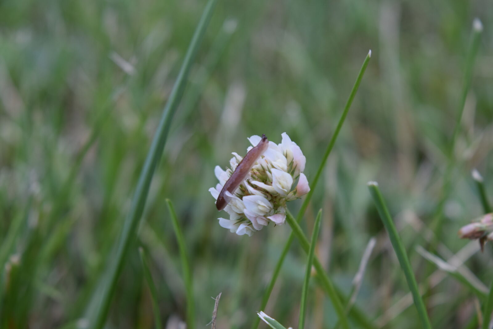Nikon D3300 sample photo