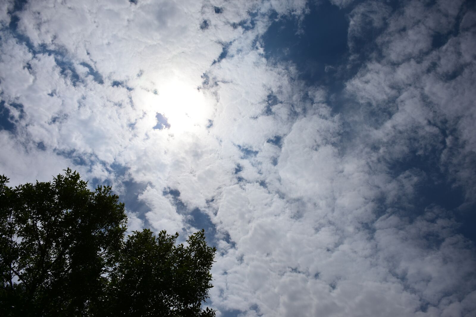 Nikon D7200 sample photo. Sky, clouds, sun photography