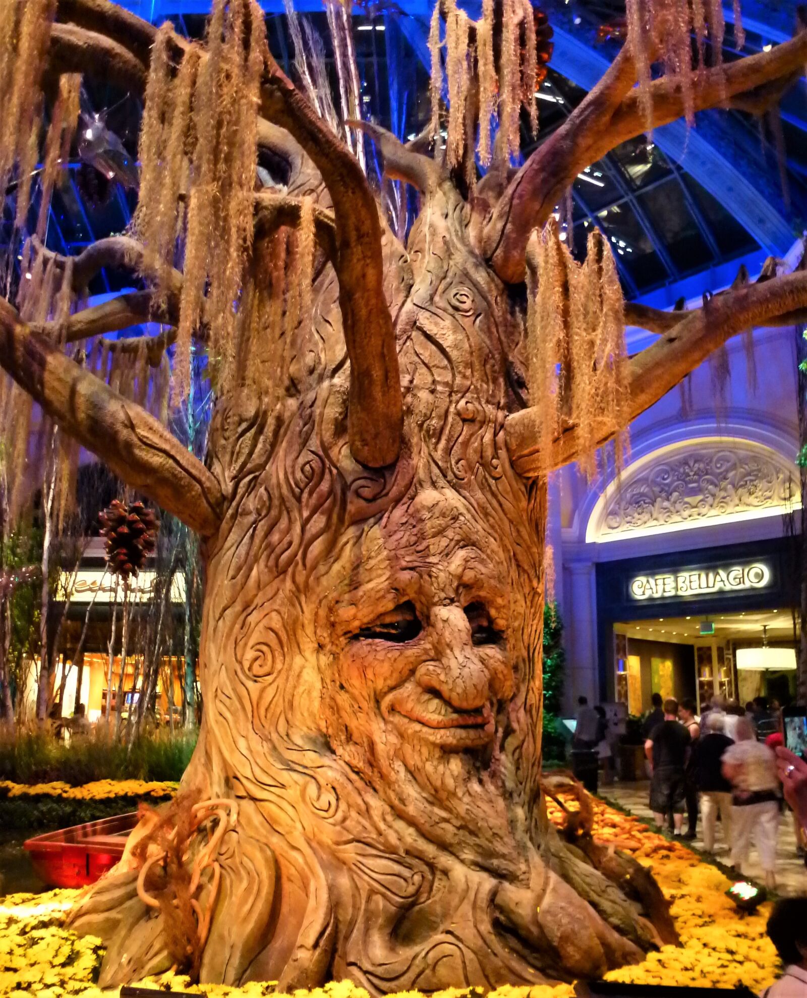 Panasonic Lumix DMC-ZS10 (Lumix DMC-TZ20 / Lumix DMC-TZ22) sample photo. Usa, las vegas, set photography