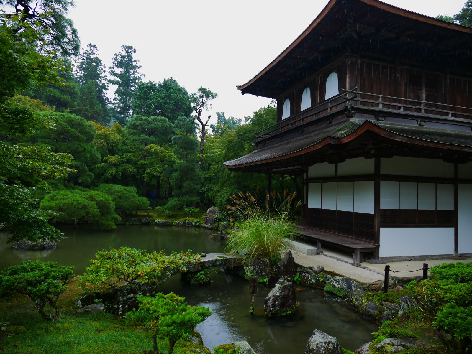 Panasonic Lumix DMC-GX85 (Lumix DMC-GX80 / Lumix DMC-GX7 Mark II) sample photo. Japan, kyoto, a photography