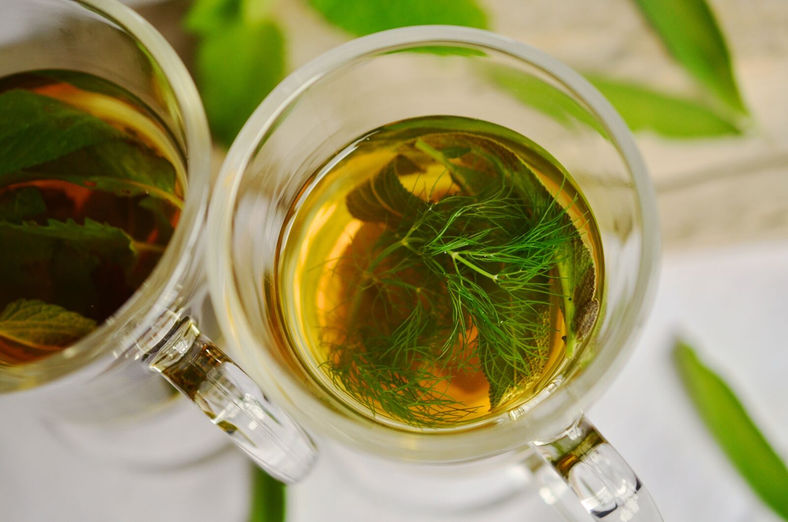 Nikon D5100 sample photo. Herbal tea, herbs, tee photography