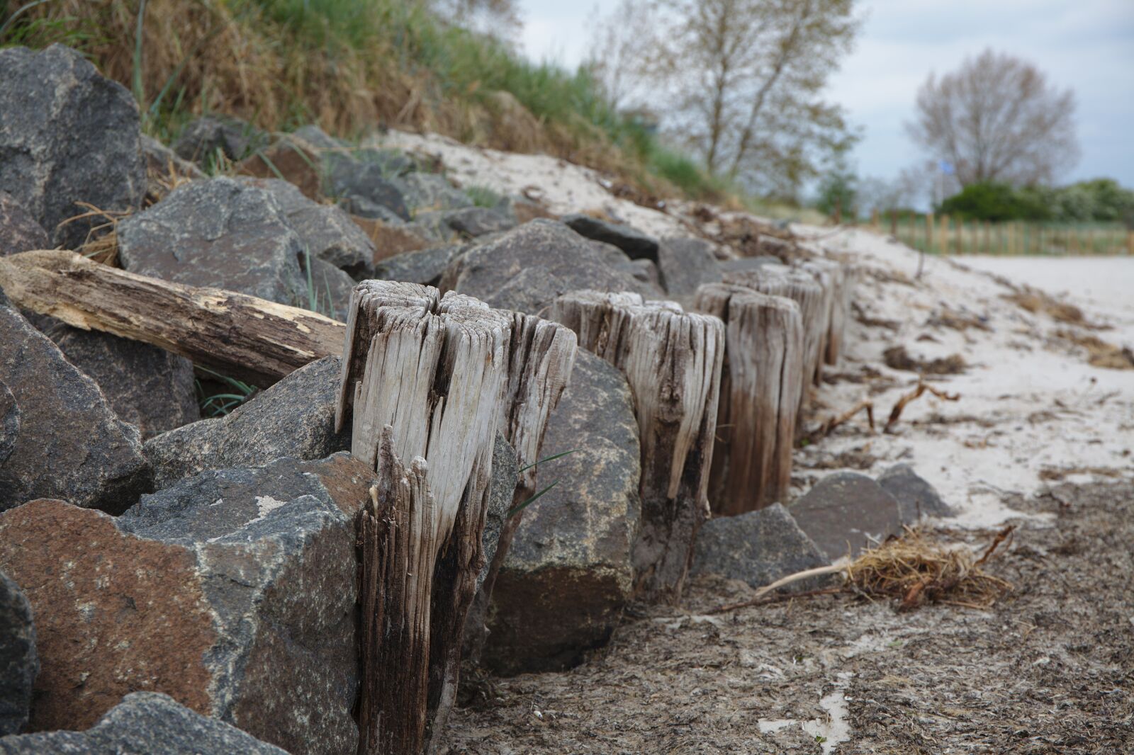 Canon EOS 5D Mark II sample photo. Beach, sea, coast photography