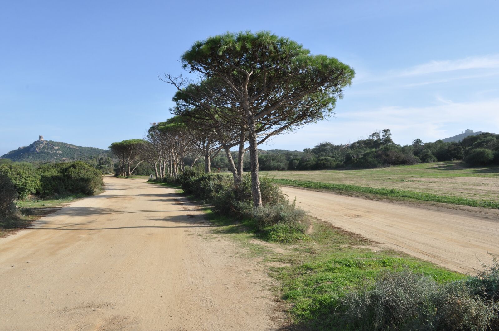 Nikon D90 sample photo. Sardinia, landscape, steinig photography