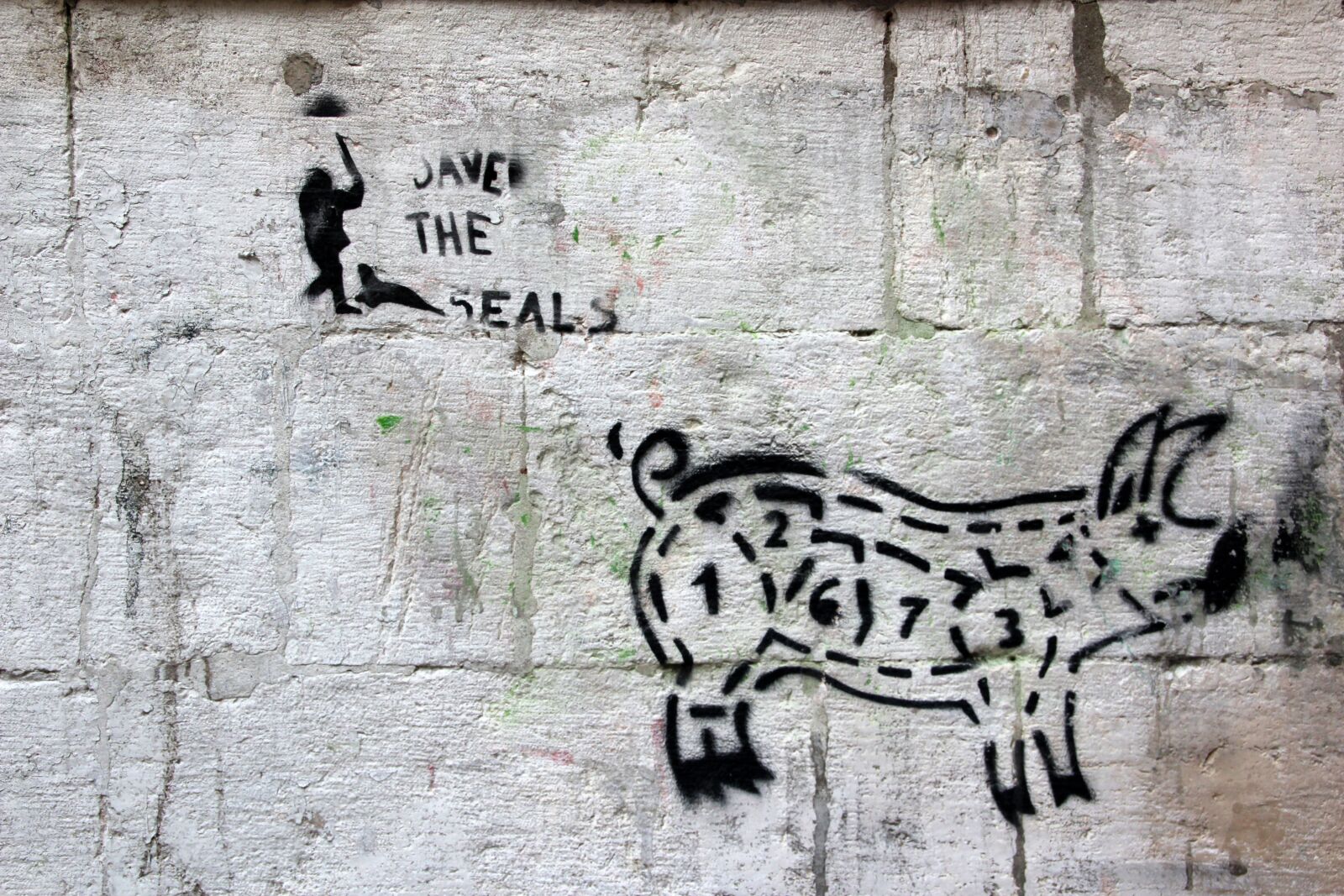 Canon EOS 600D (Rebel EOS T3i / EOS Kiss X5) sample photo. Grafitti, pig, hauswand photography