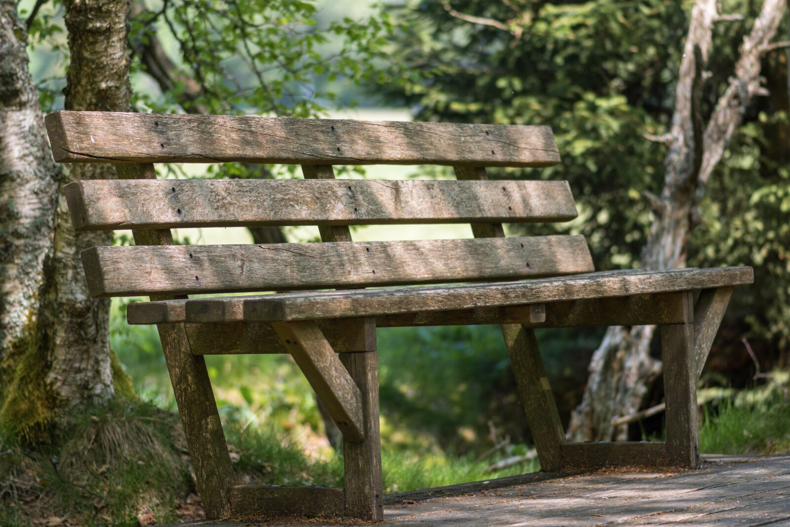 Nikon D7200 sample photo. Bank, park bench, rest photography
