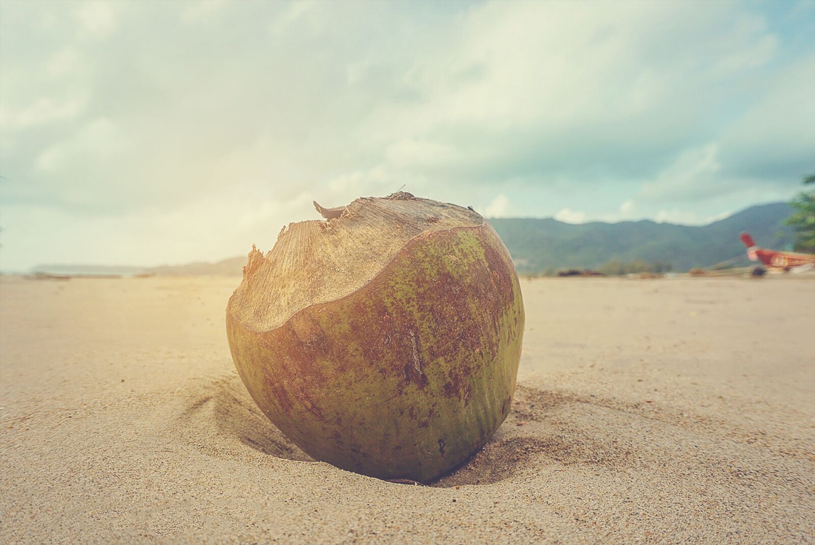 Sony a5100 sample photo. Coconut, caribbean, exotic photography