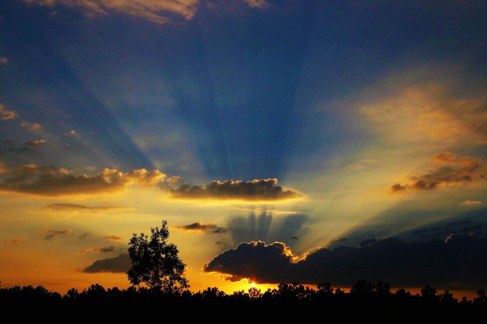 Canon EOS 6D + Canon EF 24-105mm F4L IS USM sample photo. Sunset, clouds, colors photography
