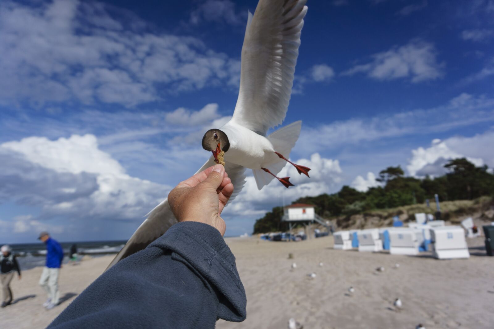 Sony a6000 sample photo. Travel, sky, beach photography