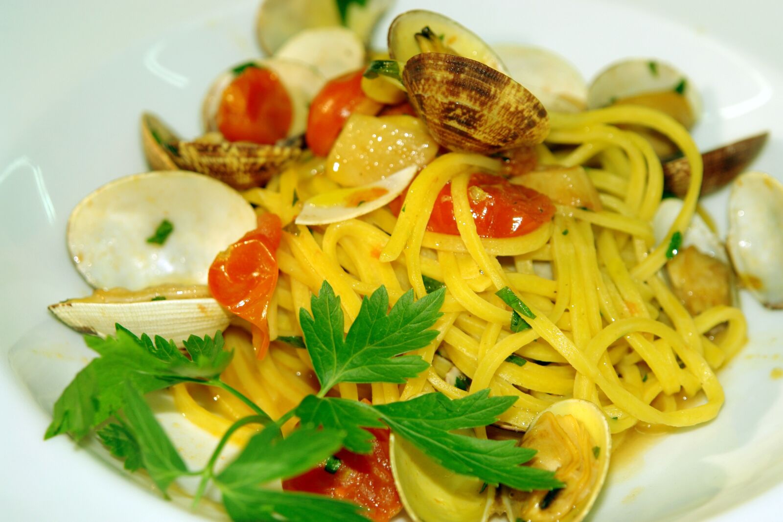 Sony DSC-R1 sample photo. Spaghetti, clams, seafood photography