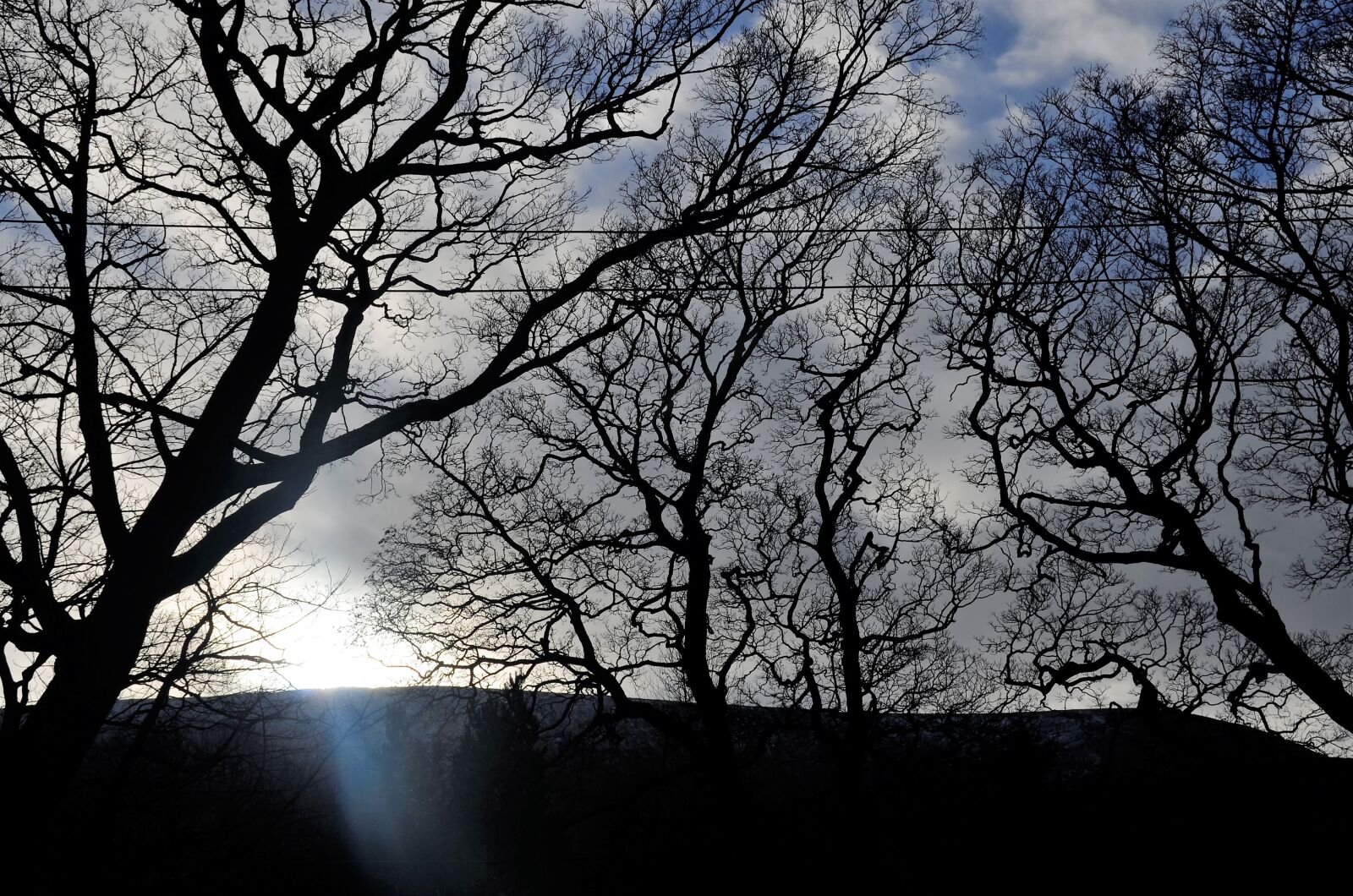 Nikon D5100 sample photo. Trees, sunlight, silhouette photography
