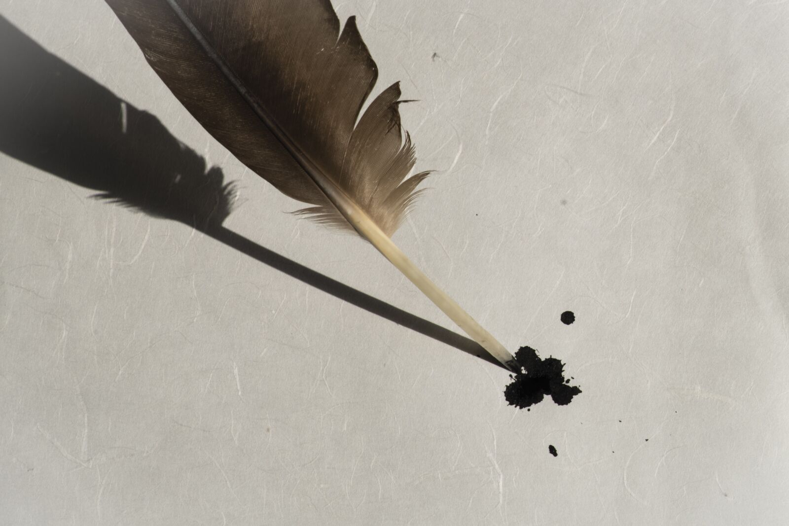Fujifilm XF 18-55mm F2.8-4 R LM OIS sample photo. Bird feather, feather, paper photography