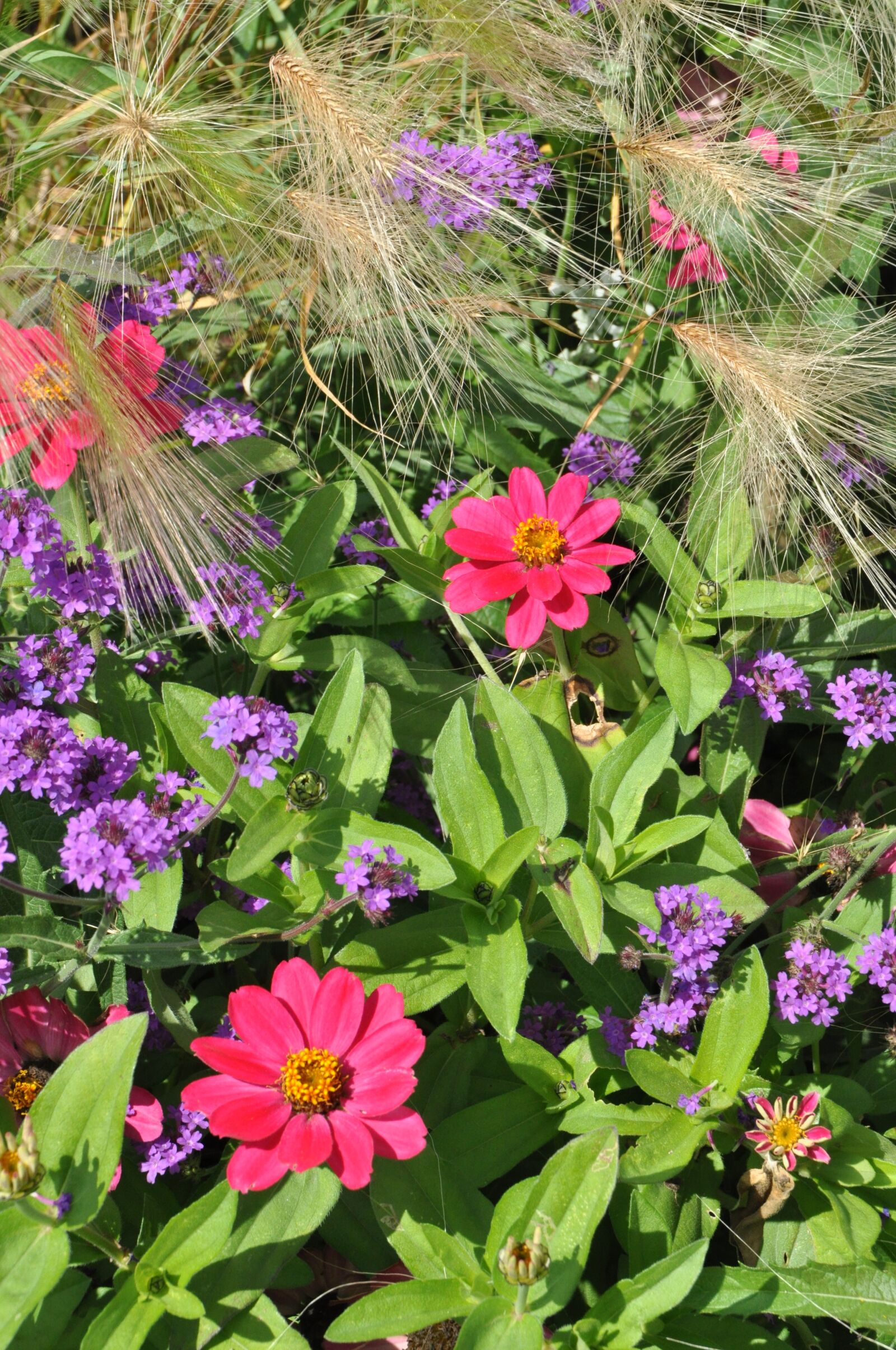 Nikon D5000 sample photo. Flower, flora, blossom photography