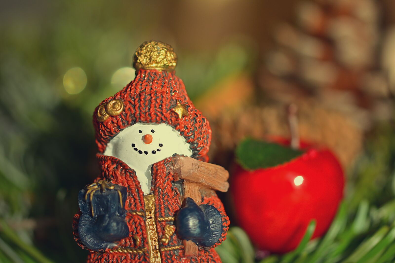 Nikon D5200 sample photo. Christmas, snowman, deco photography
