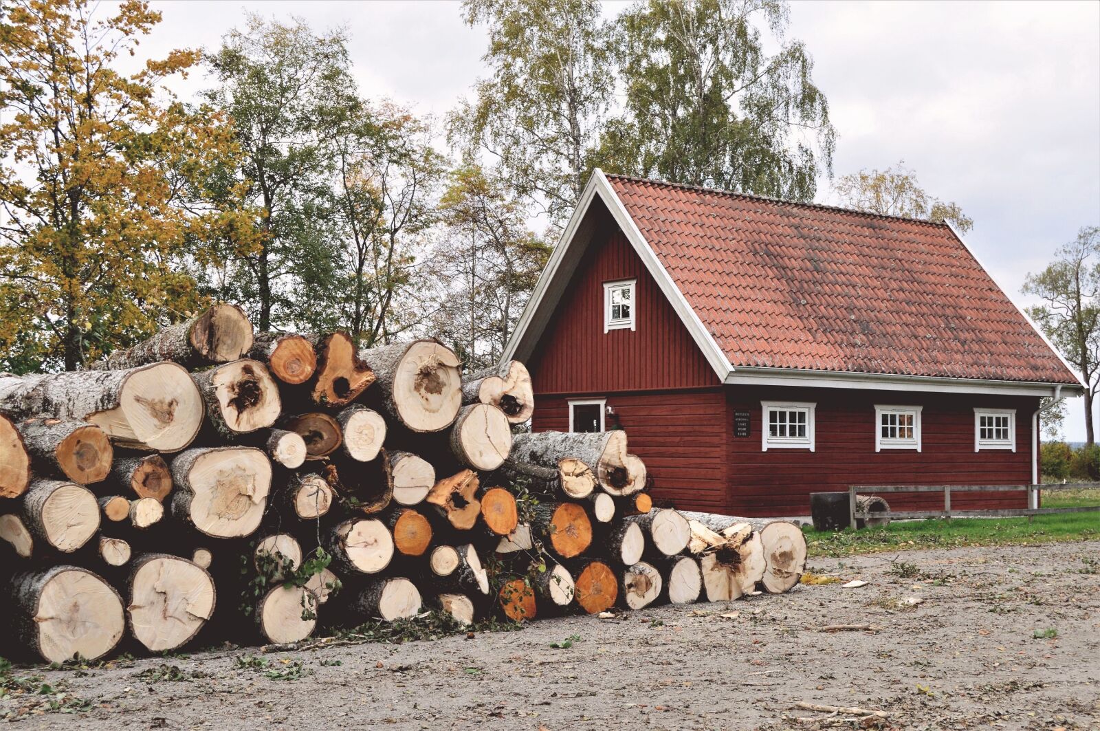 Nikon D3200 sample photo. Cottage, house, red photography