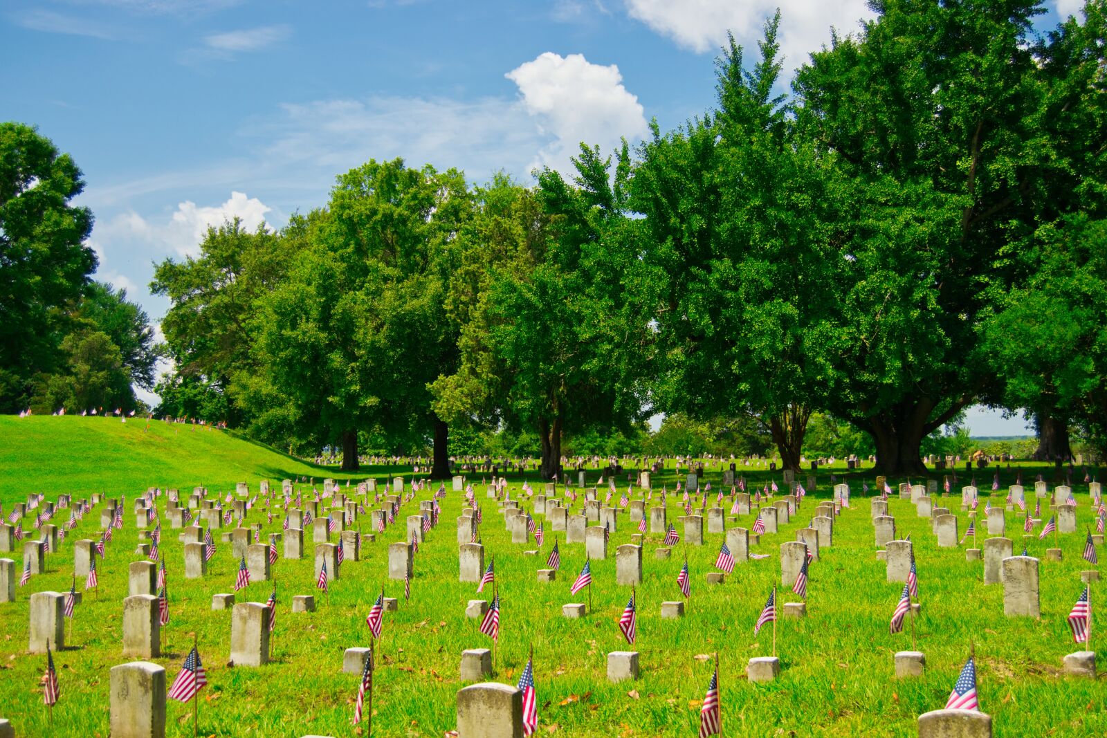 Nikon D5300 sample photo. Military cemetery, vicksburg, mississippi photography