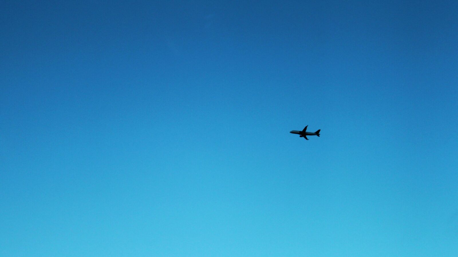 Canon EOS 500D (EOS Rebel T1i / EOS Kiss X3) sample photo. Airplane, blue, sky, clear photography