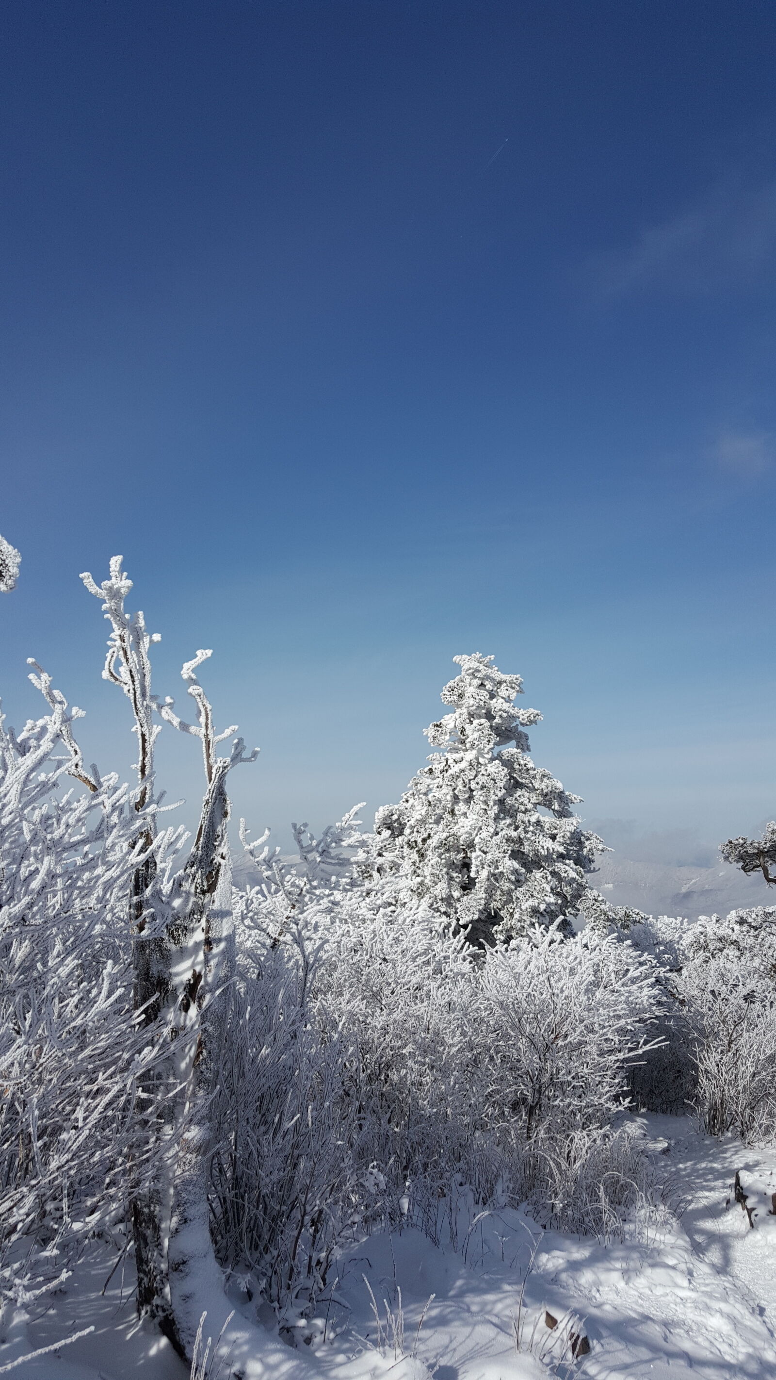 Samsung Galaxy Note5 sample photo. Korea, mountain, taebaeksan, winter photography