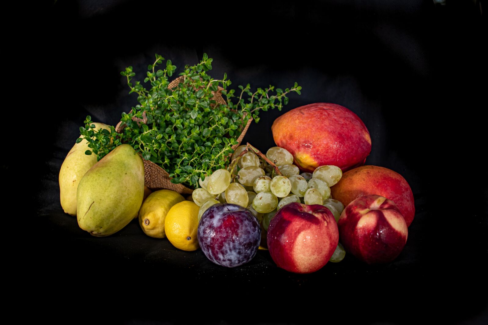 Nikon D5600 sample photo. Fruits, naturmort, citrus photography