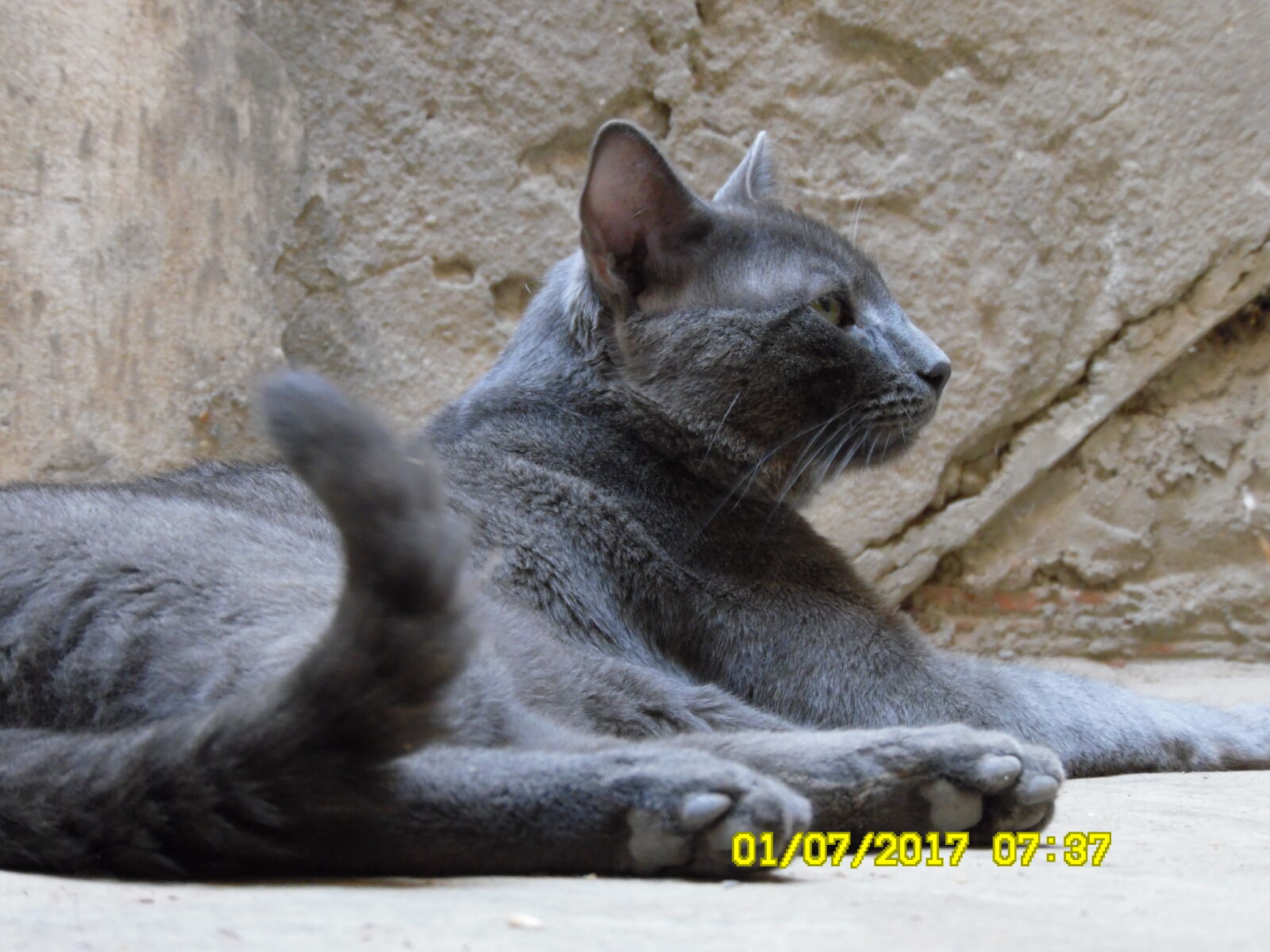 Samsung WB1100F/WB1101F/WB1102F sample photo