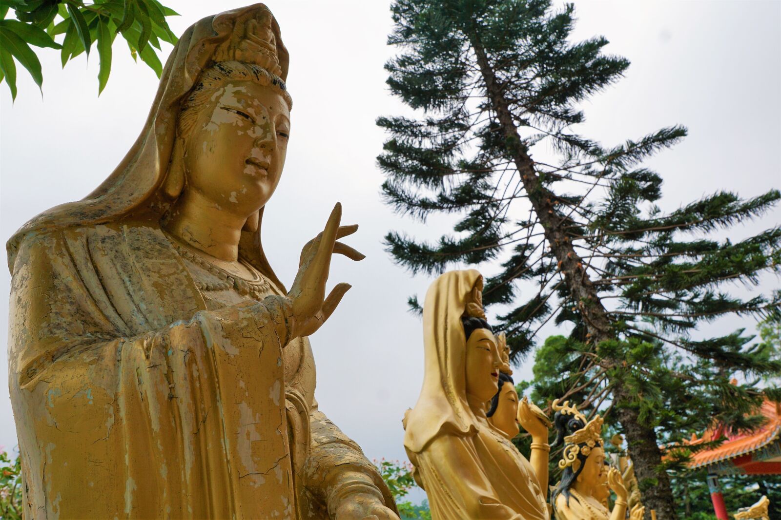 Sony ILCA-77M2 + Sony DT 16-50mm F2.8 SSM sample photo. Sculpture, gold, buddha photography