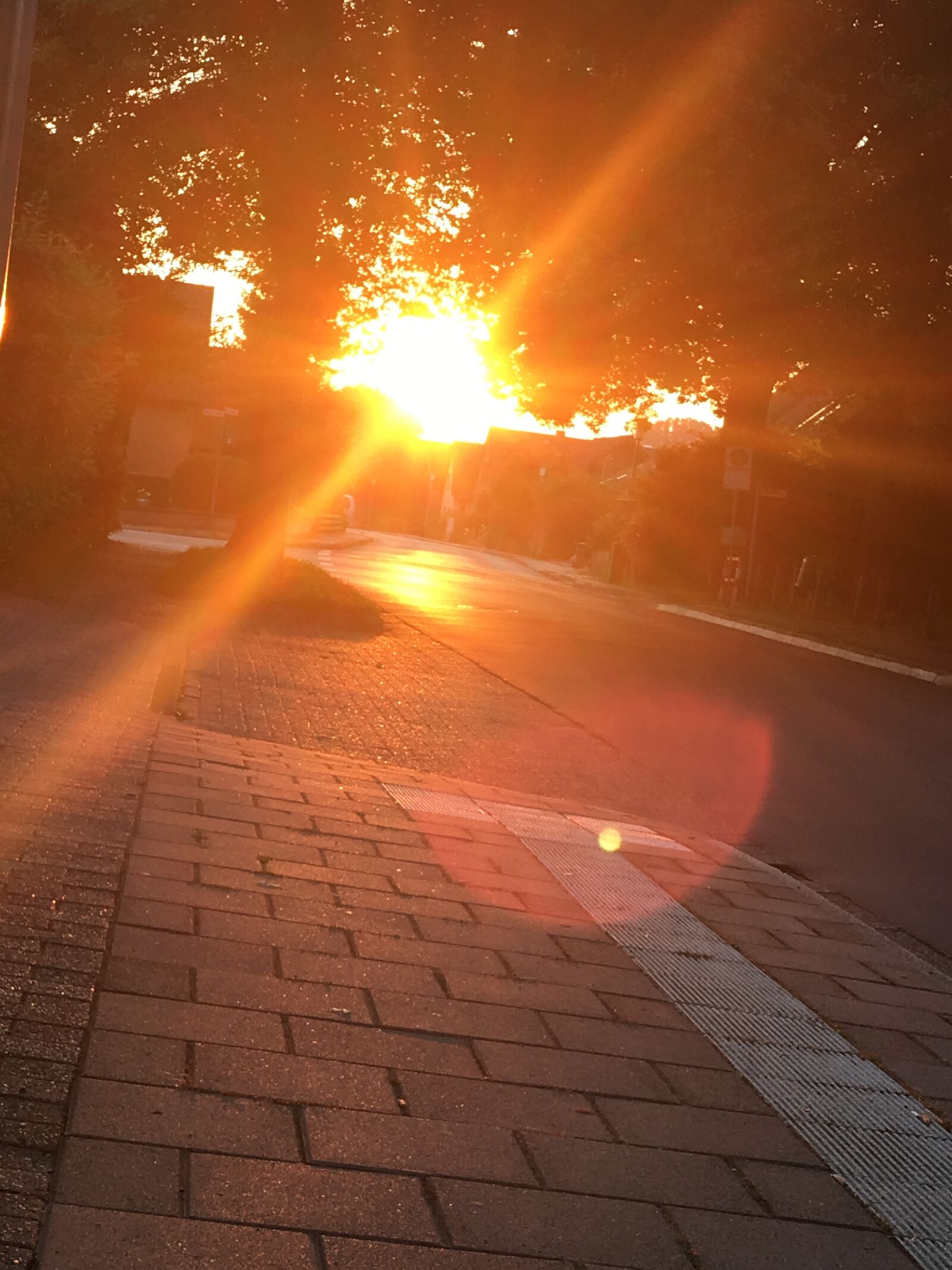 iPhone 6s Plus back camera 4.15mm f/2.2 sample photo. Sunrise, dawn, sun photography