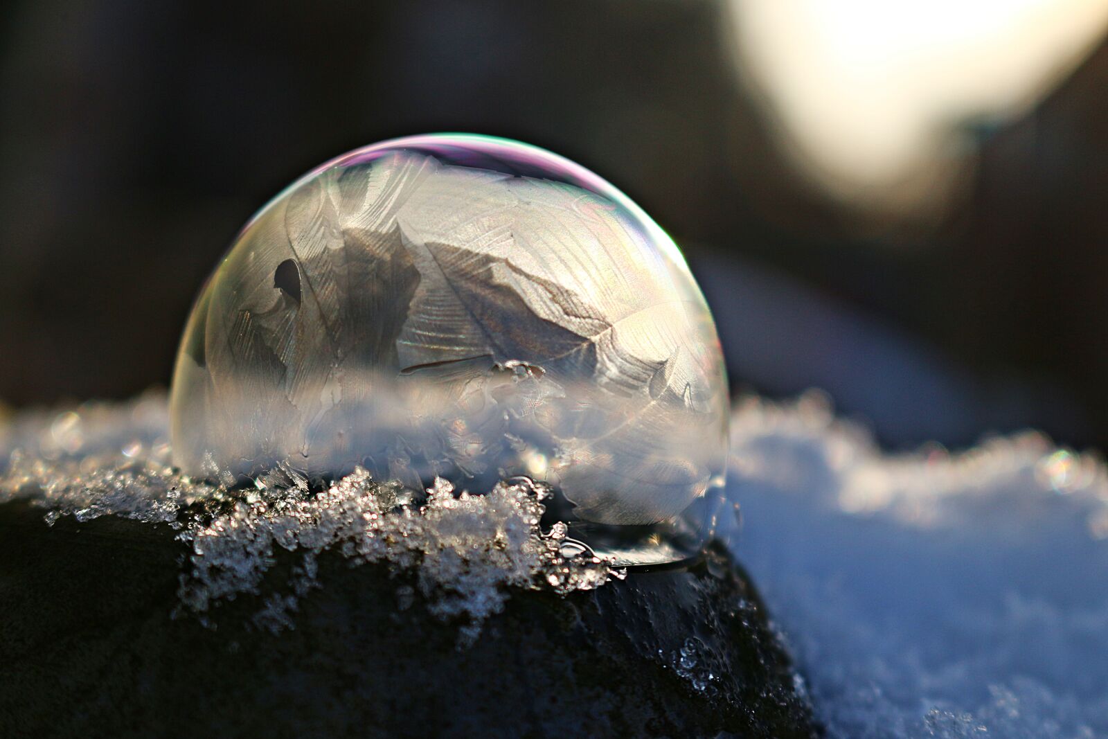Canon EOS 100D (EOS Rebel SL1 / EOS Kiss X7) sample photo. Soap bubble, frozen bubble photography