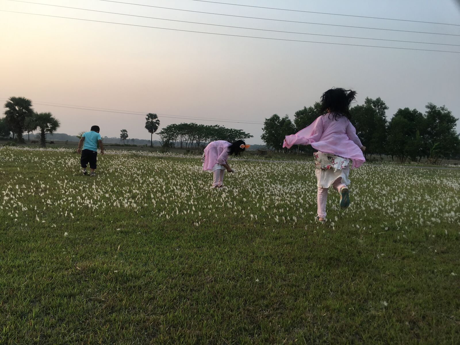 iPhone 6s Plus back camera 4.15mm f/2.2 sample photo. Beautifulgopalganj, arif, abid photography
