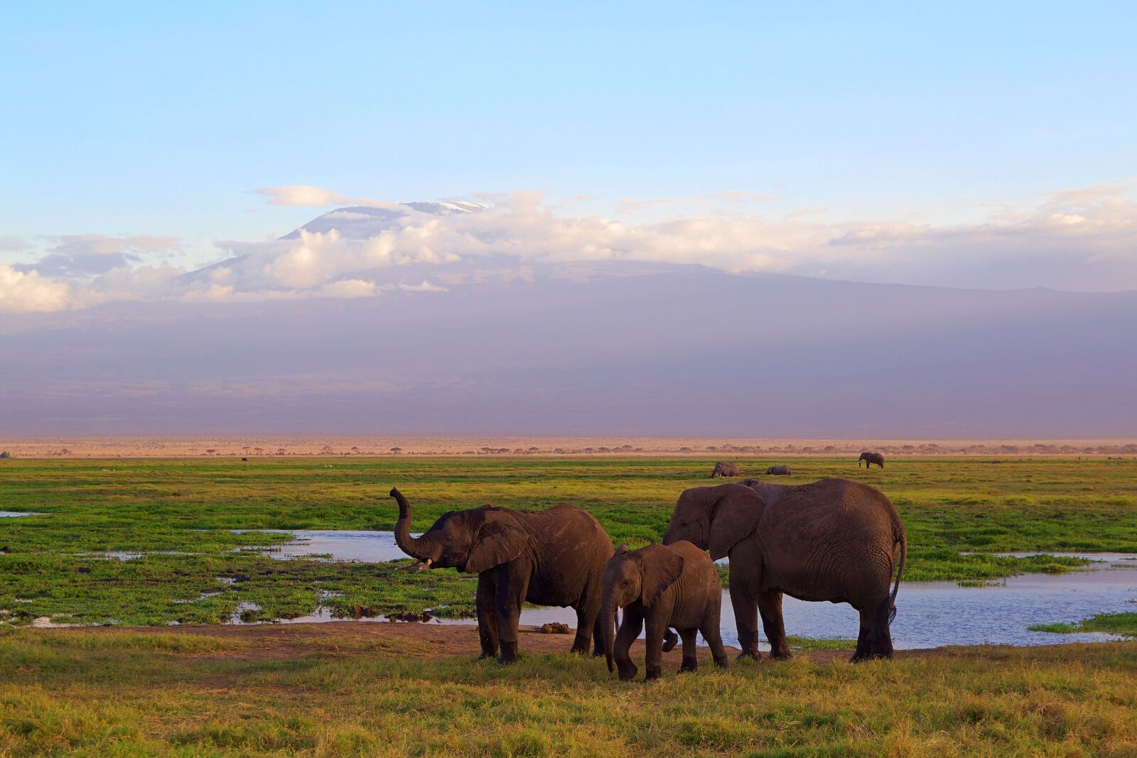 Canon EOS 600D (Rebel EOS T3i / EOS Kiss X5) sample photo. Africa, park, national park photography