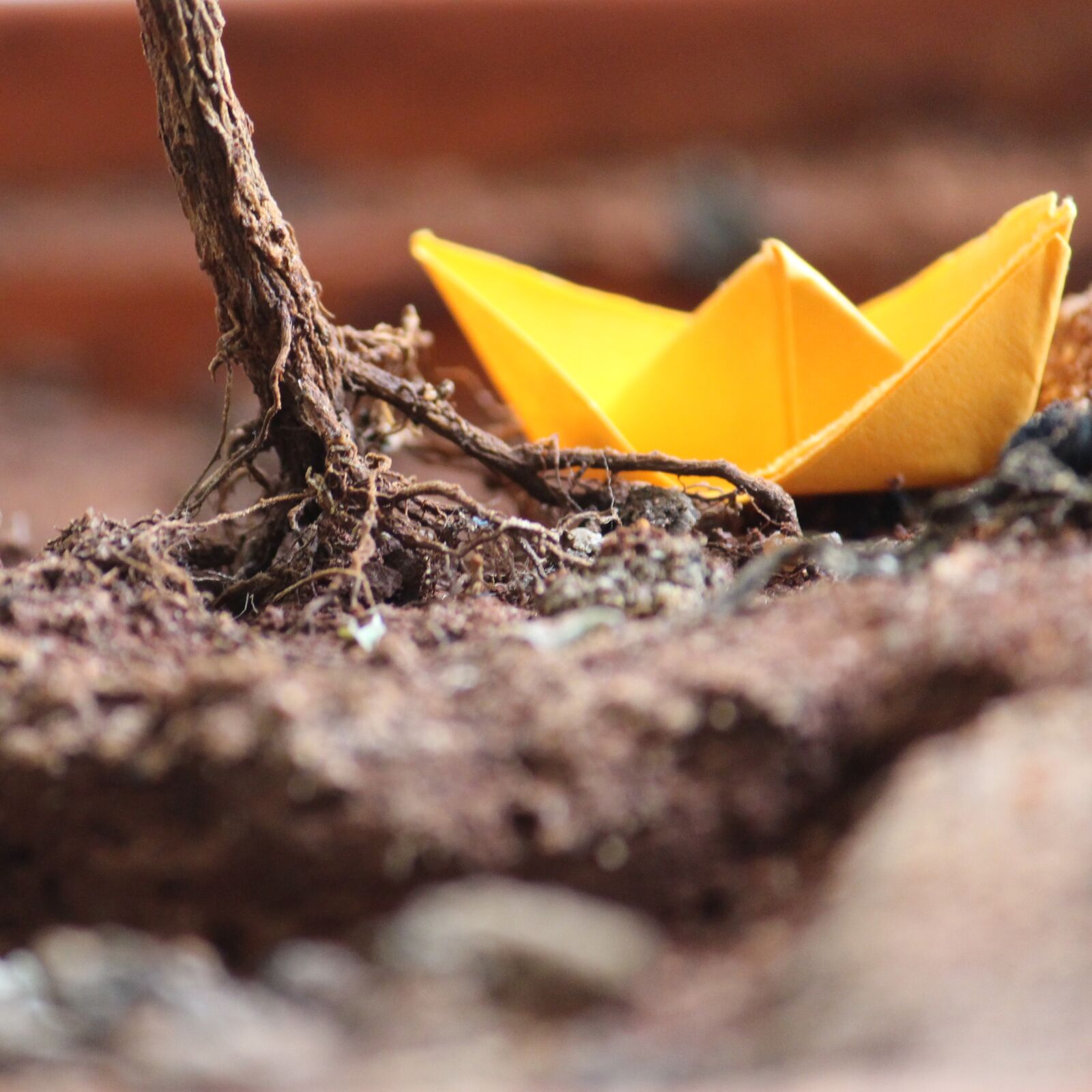 Canon EOS 700D (EOS Rebel T5i / EOS Kiss X7i) sample photo. B4bharani, hope, origami, summer photography