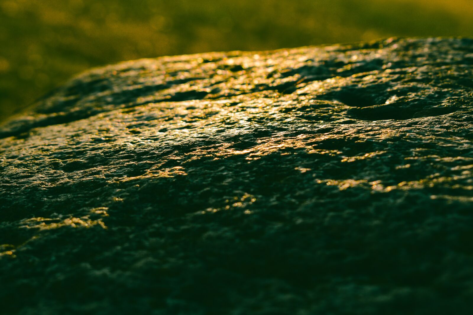 Nikon D5600 sample photo. Rock, moss, sunset photography