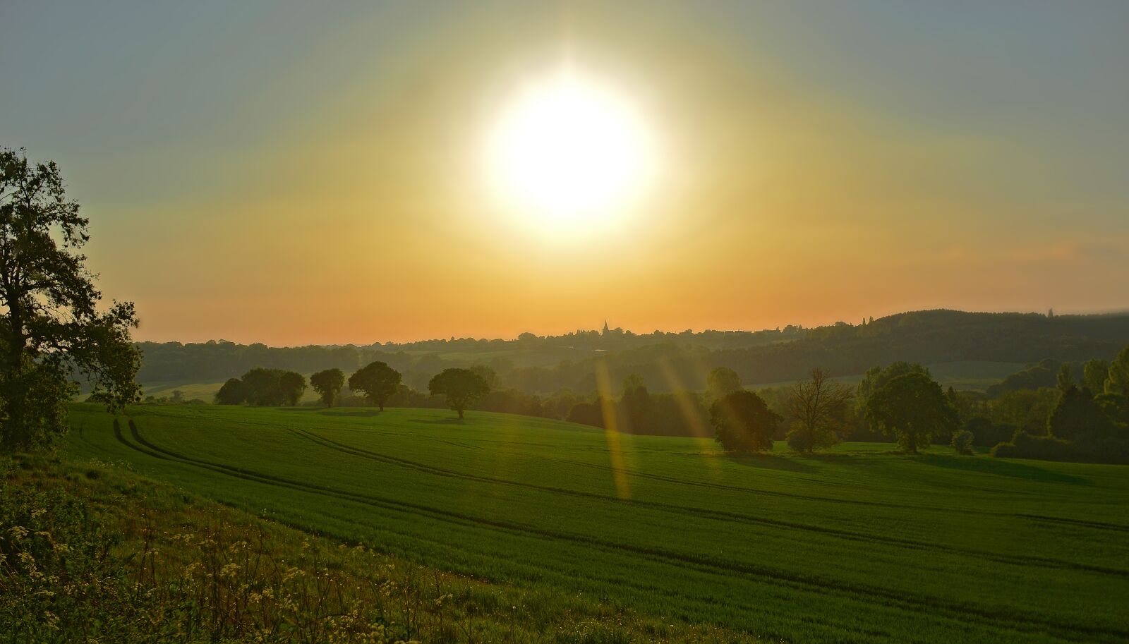 Nikon D7000 sample photo. Nature, sun, scene photography