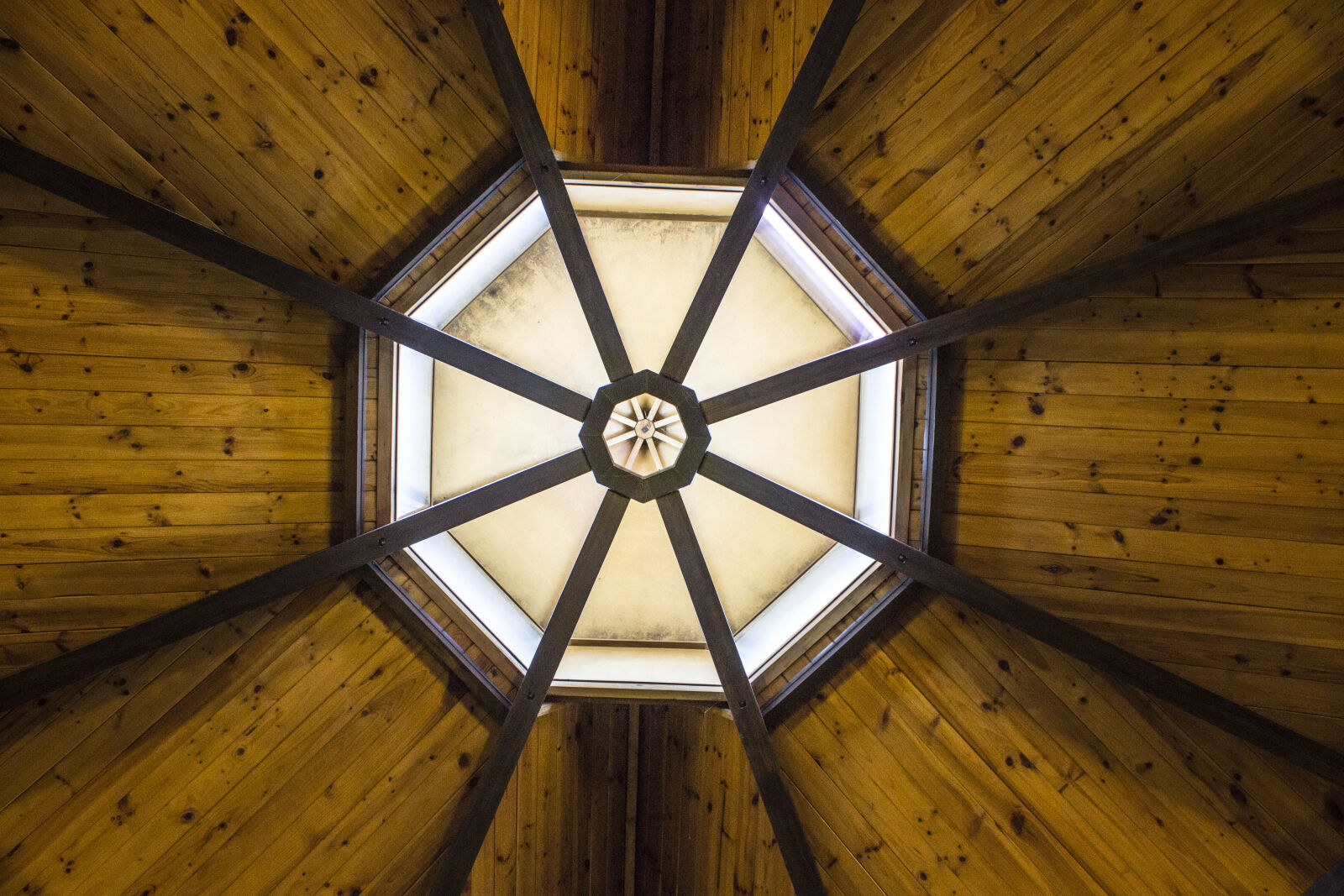 Canon EOS 600D (Rebel EOS T3i / EOS Kiss X5) sample photo. Abstract, architecture, building, ceiling photography