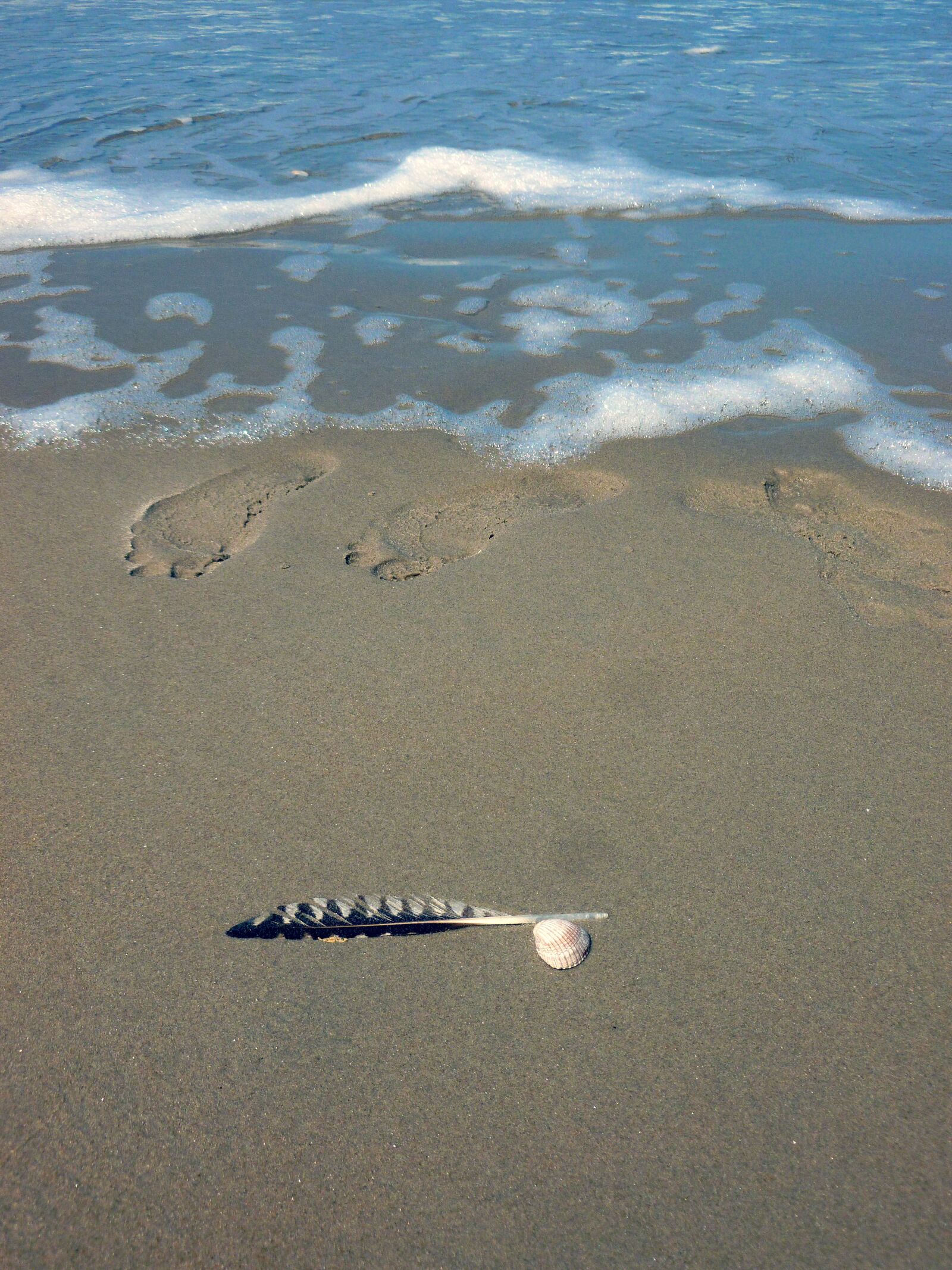 Panasonic DMC-FS37 sample photo. Feather, sand, footprint photography