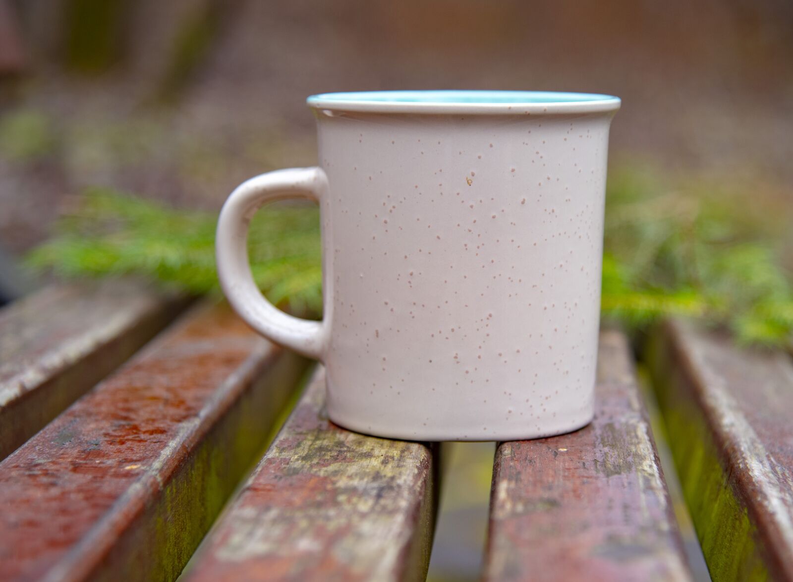 Nikon D750 sample photo. Mug, park, vacation photography
