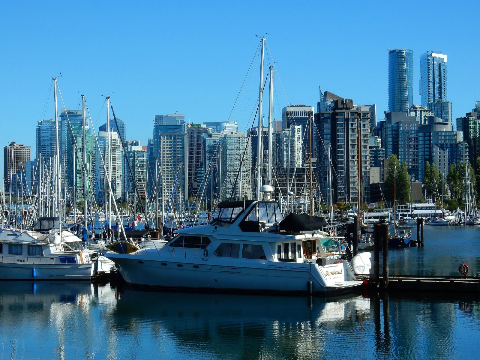 Nikon Coolpix S9900 sample photo. Vancouver, skyline, false creek photography