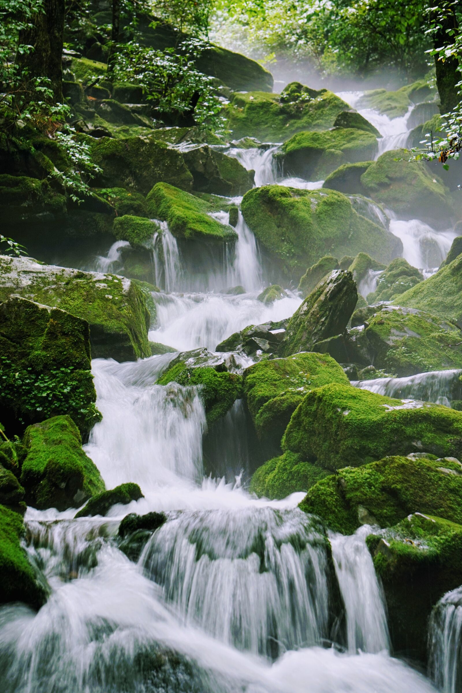Sony Alpha a5000 (ILCE 5000) sample photo. Nature, valley, waterfall photography