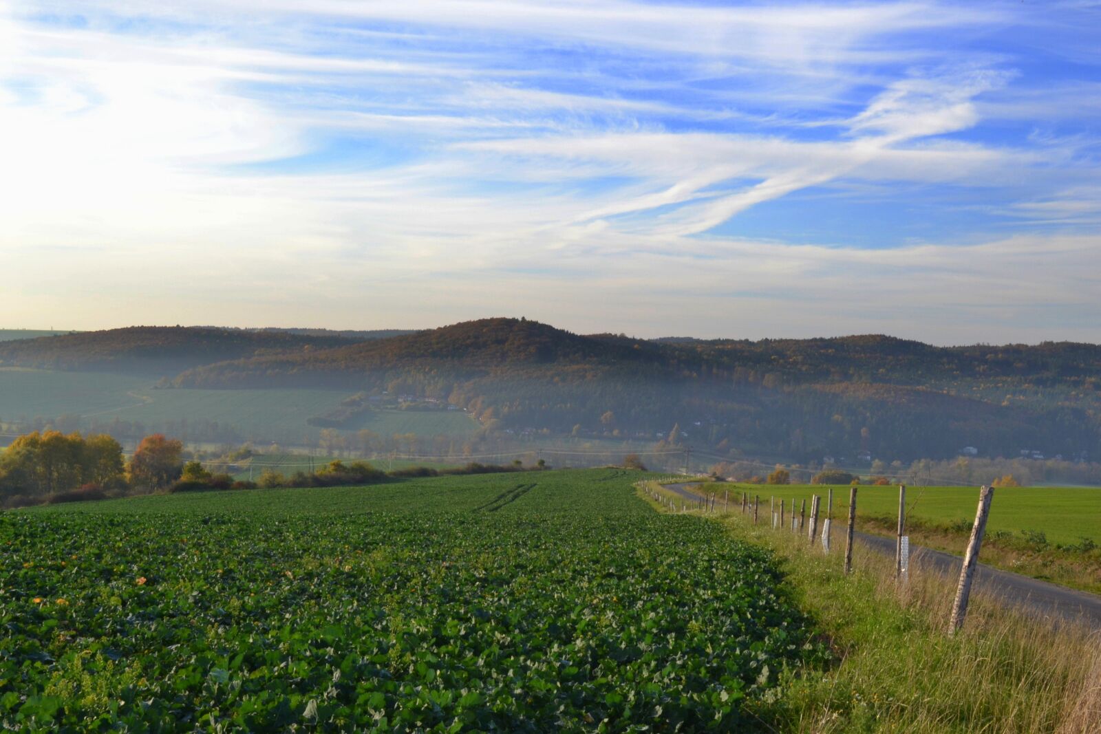 Nikon D3100 sample photo. Nature, meadow, field photography