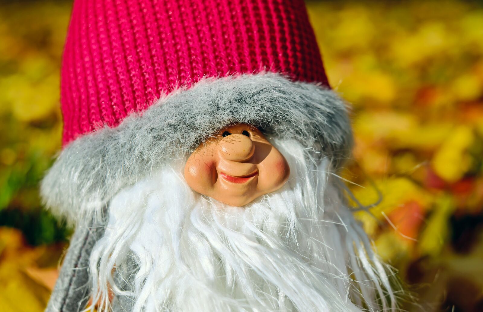 Fujifilm X-T10 + Fujifilm XF 35mm F1.4 R sample photo. Dwarf, imp, figure photography