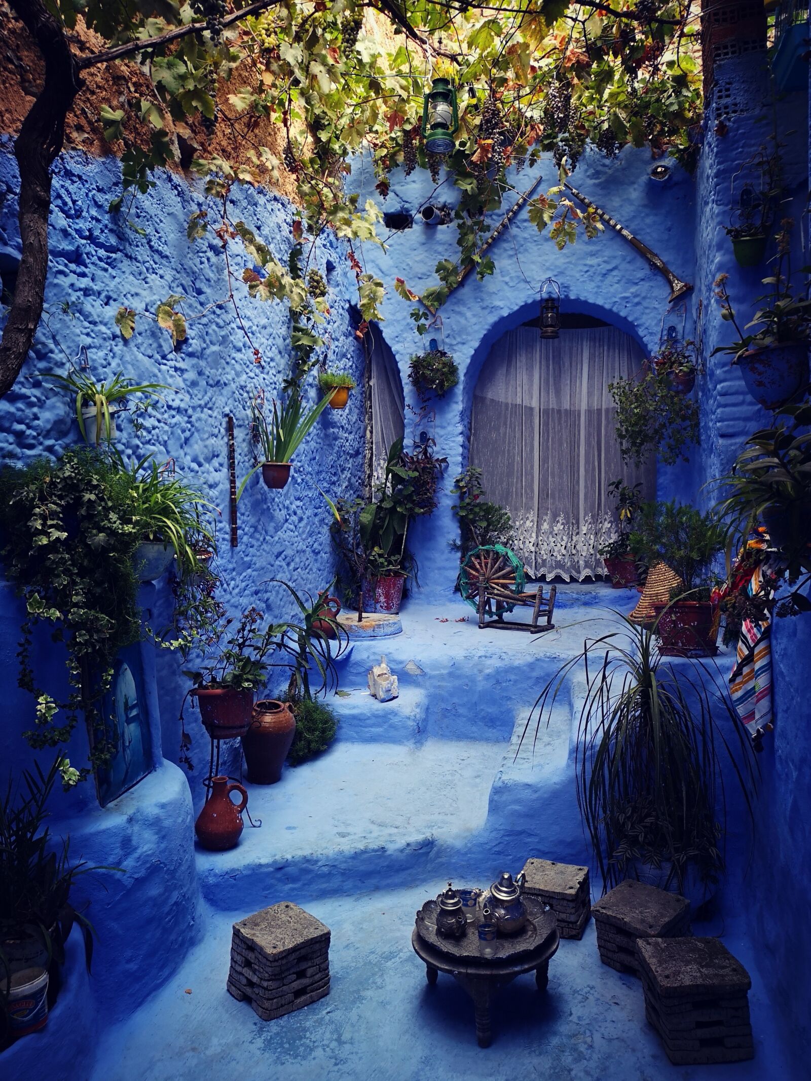 HUAWEI CLT-L29 sample photo. Morocco, garden, blue photography