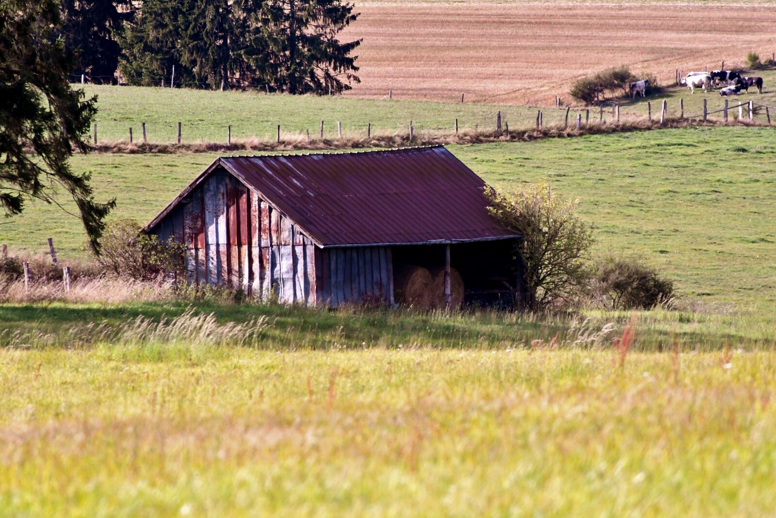 Nikon D500 sample photo. Barn, landscape, countryside photography