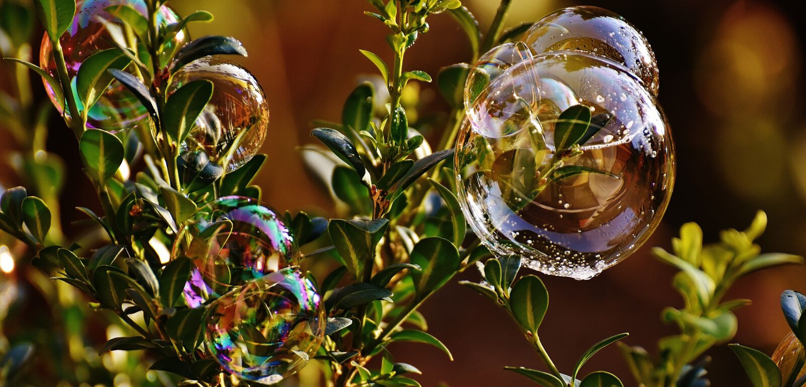 Nikon D7200 sample photo. Soap bubble, colorful, buxbaum photography