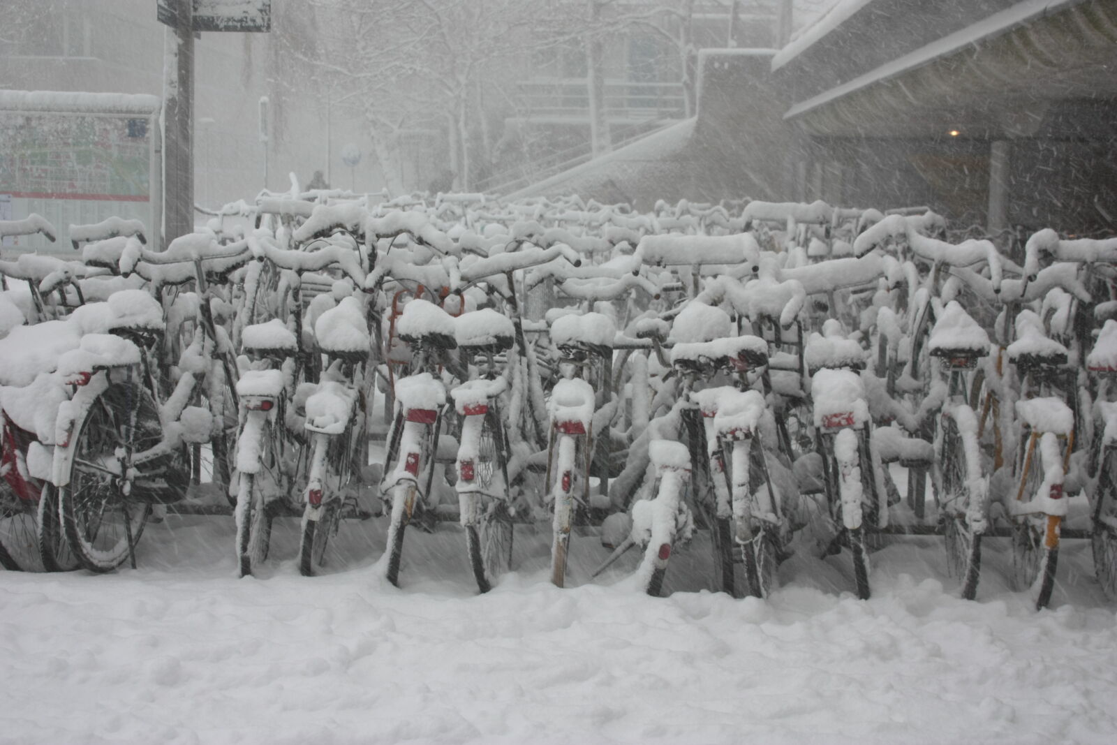 Canon EOS 450D (EOS Rebel XSi / EOS Kiss X2) sample photo. Amsterdam, bicycles, cityscape, netherlands photography